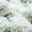 Resep Membuat Kue Klepon Jajanan Pasar yang Mudah Dibuat