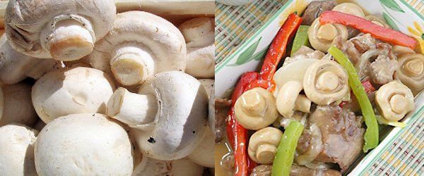 Mengenal Jenis Jamur untuk Memasak