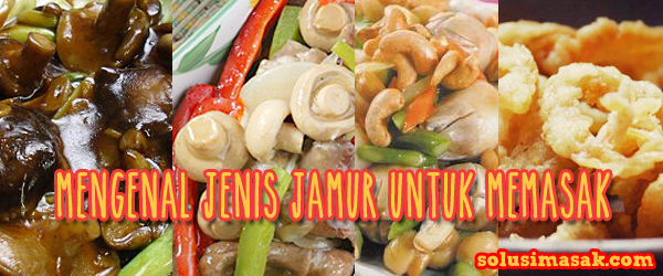 Mengenal Jenis Jamur untuk Memasak